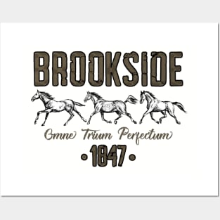 Brookside (Light Option) Posters and Art